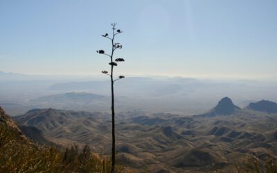 Day 79: South Rim Loop Hike | Big Bend National Park, Terlingua, TX
