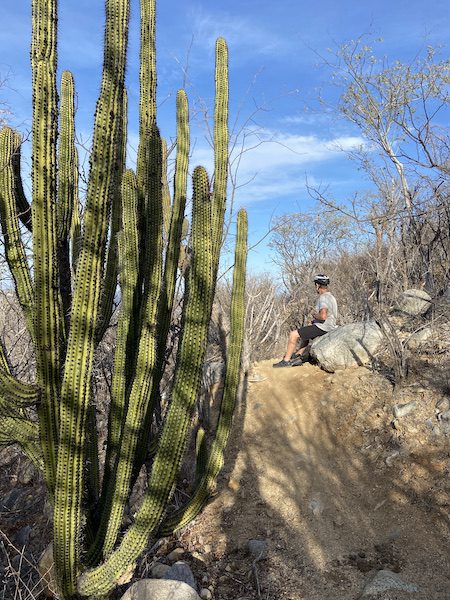 IMG_9943 saguaro national park