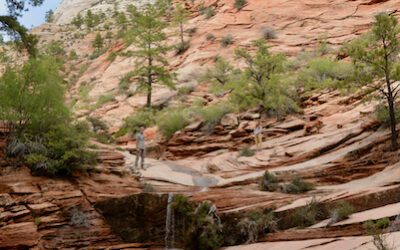 Day 182: Zion National Park, UT