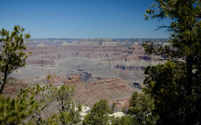 Day 174: Grand Canyon, AZ